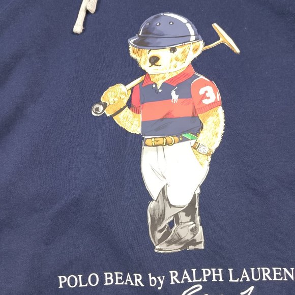 Polo Ralph Lauren Men's Big & Tall Polo Bear Player Colorblock Hoodie - Picture 2 of 6